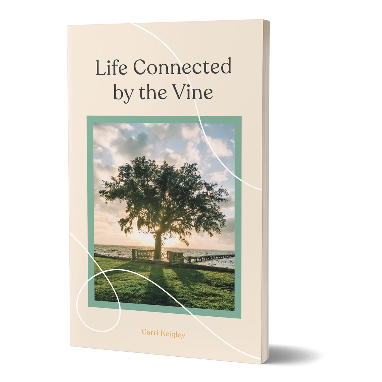 LifeConnectedByTheVine-Product-Cover